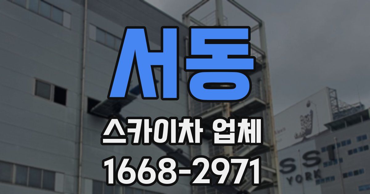 서동 스카이차 업체