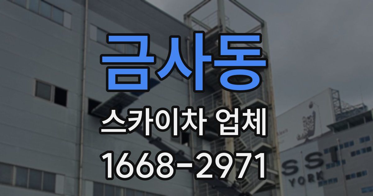 금사동 스카이차 업체