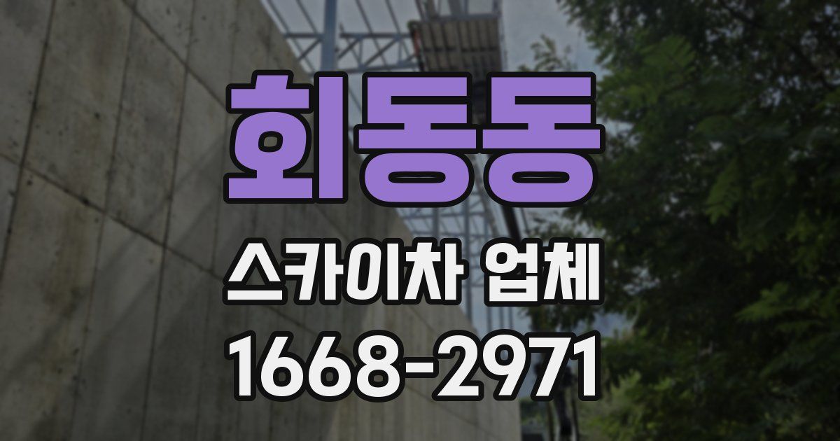 회동동 스카이차 업체