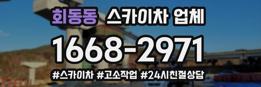 회동동 스카이차 업체