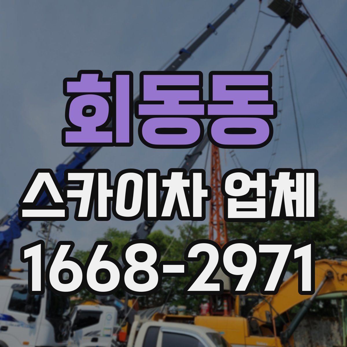 회동동 스카이차 업체