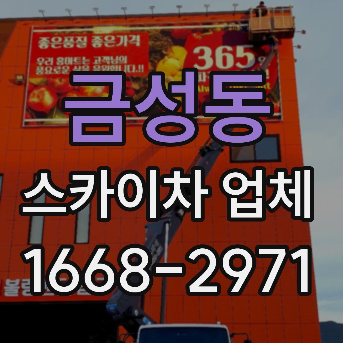 금성동 스카이차 업체