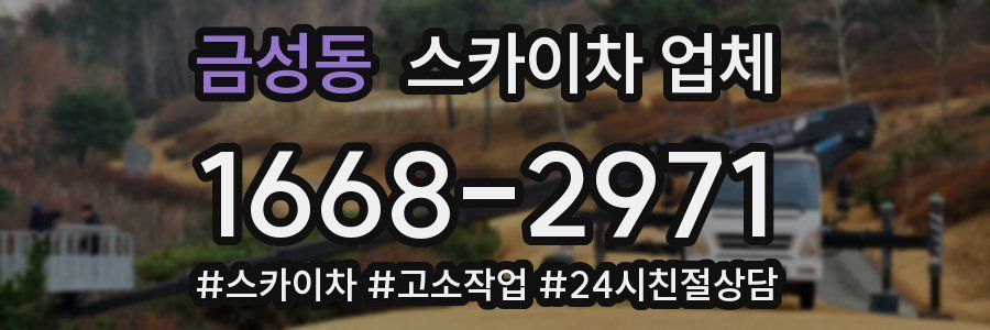 금성동 스카이차 업체