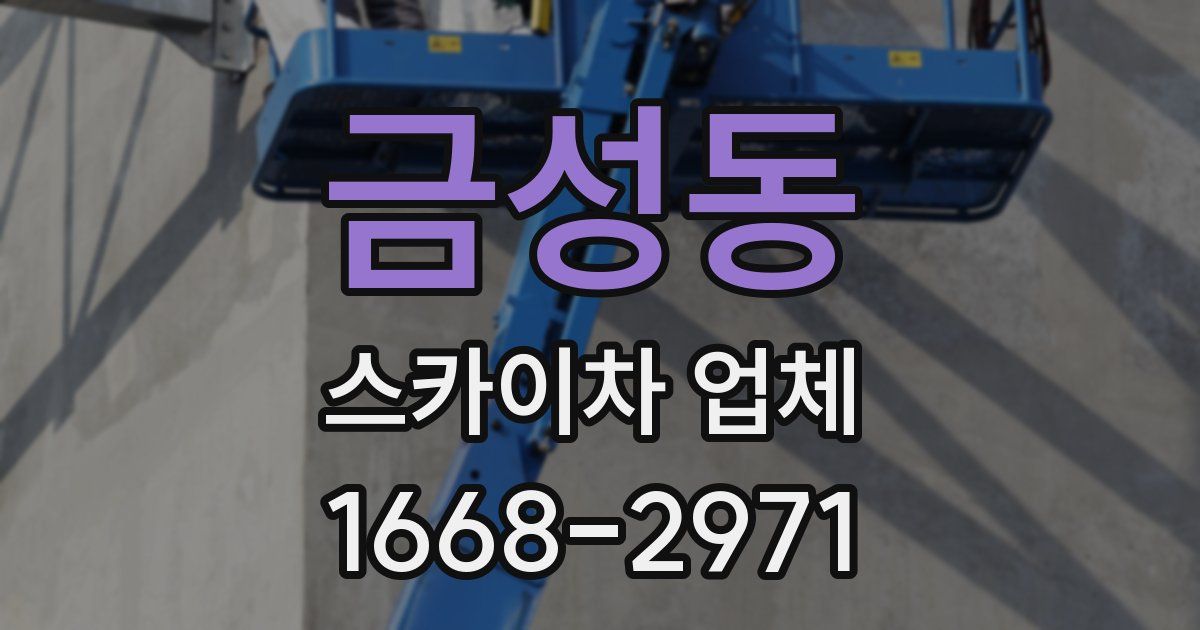 금성동 스카이차 업체