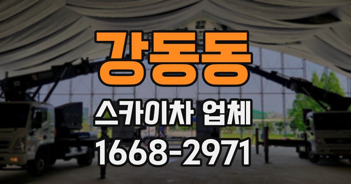 강동동 스카이차 업체