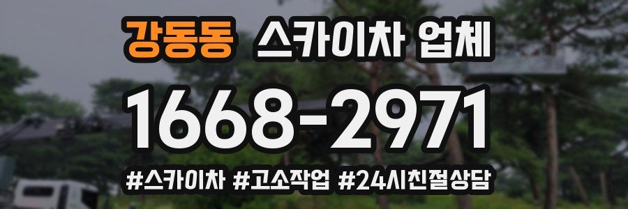 강동동 스카이차 업체