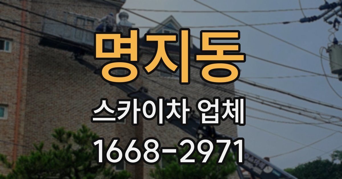 명지동 스카이차 업체