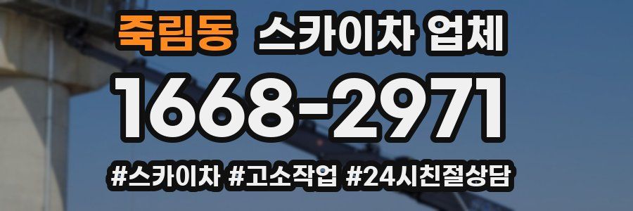 죽림동 스카이차 업체