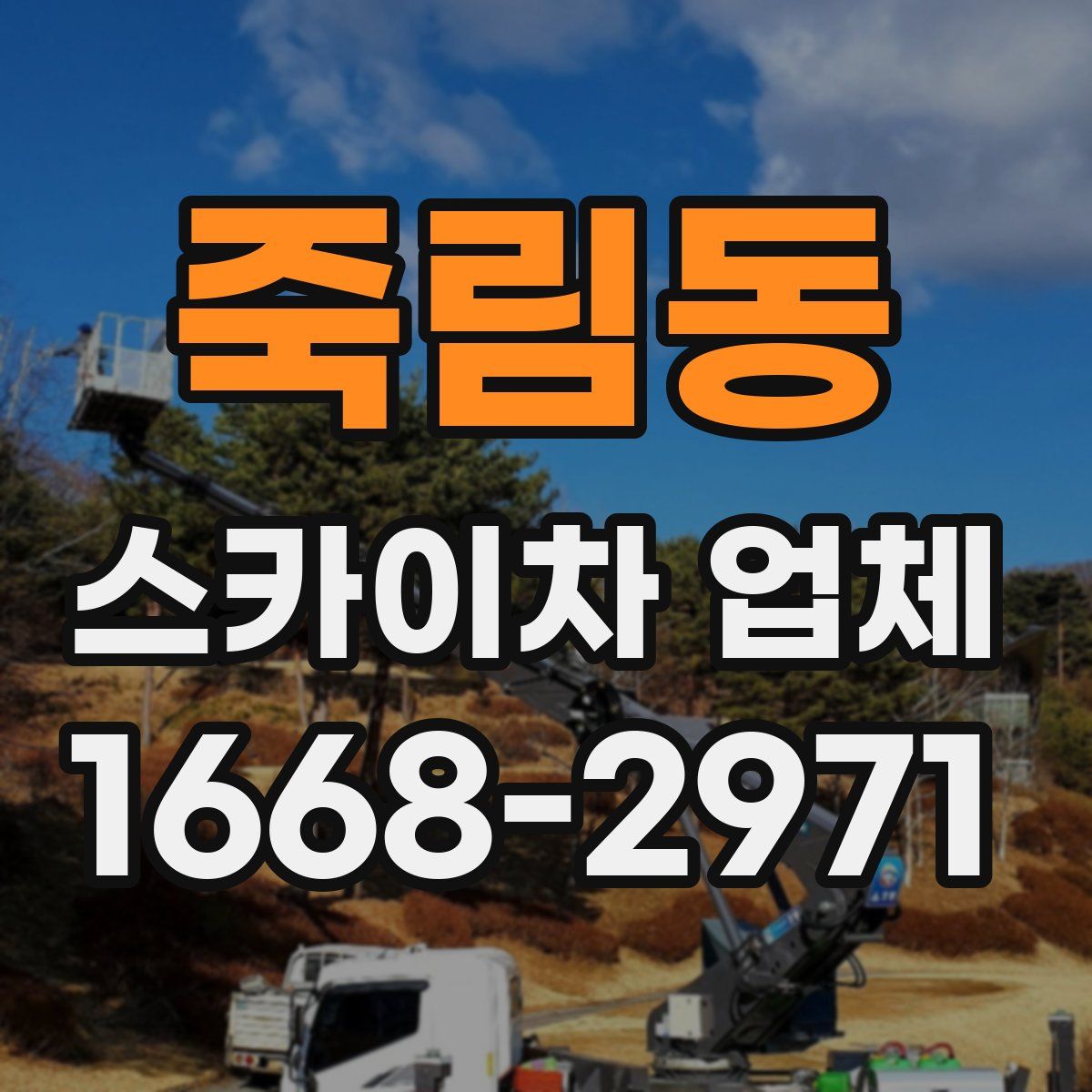 죽림동 스카이차 업체