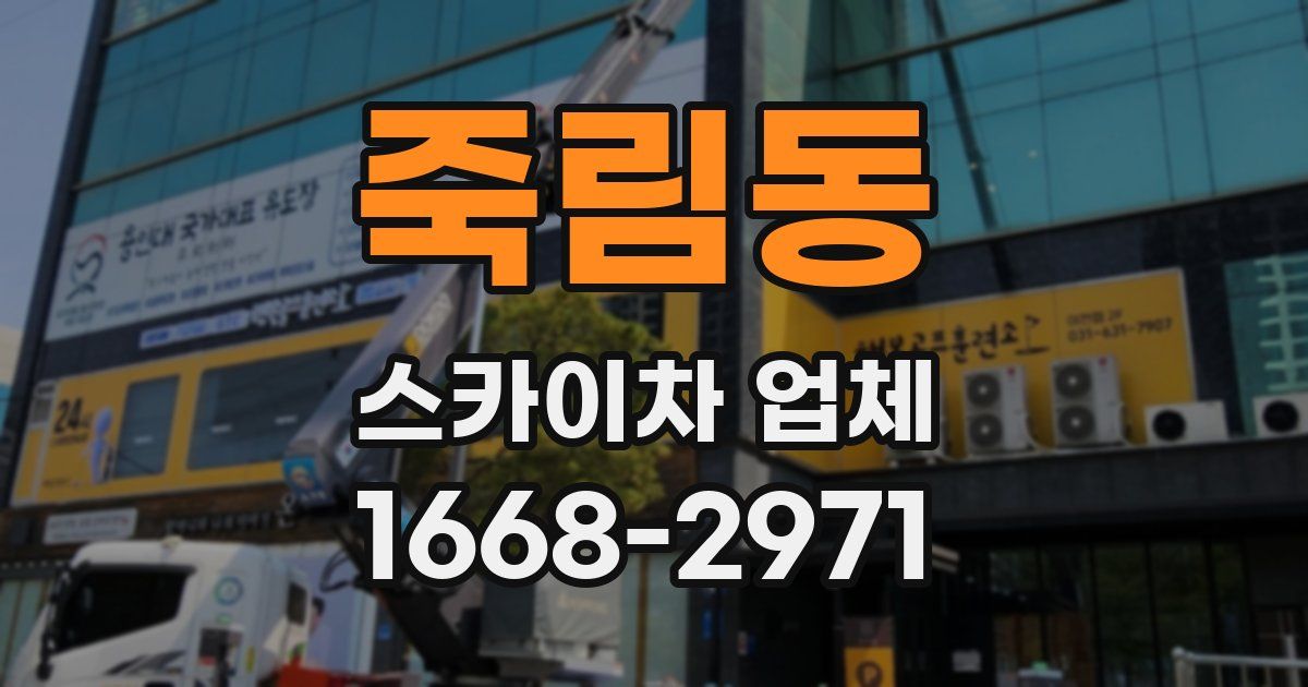 죽림동 스카이차 업체