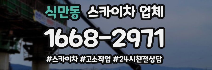 식만동 스카이차 업체