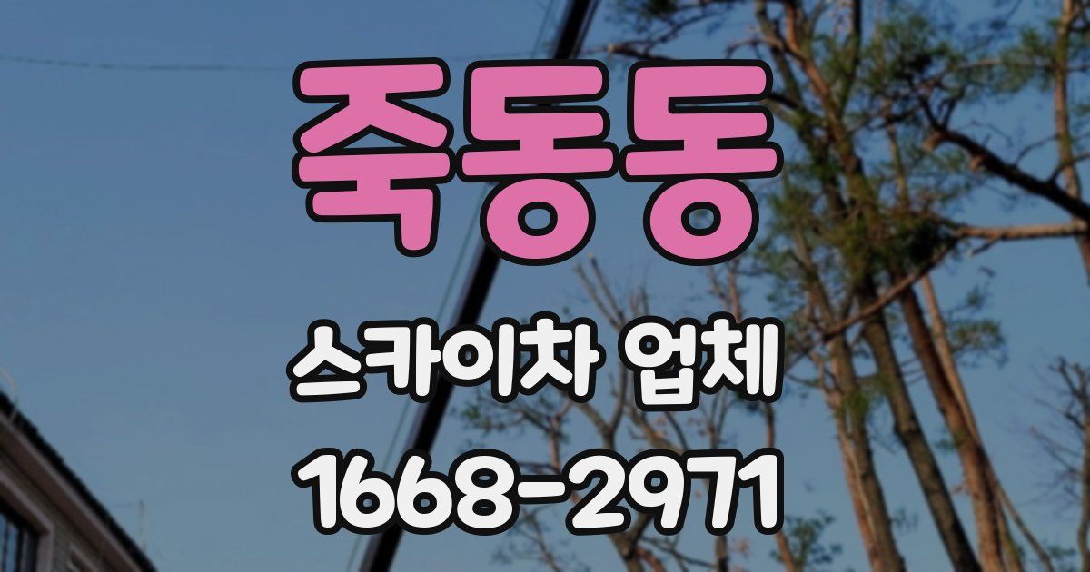 죽동동 스카이차 업체