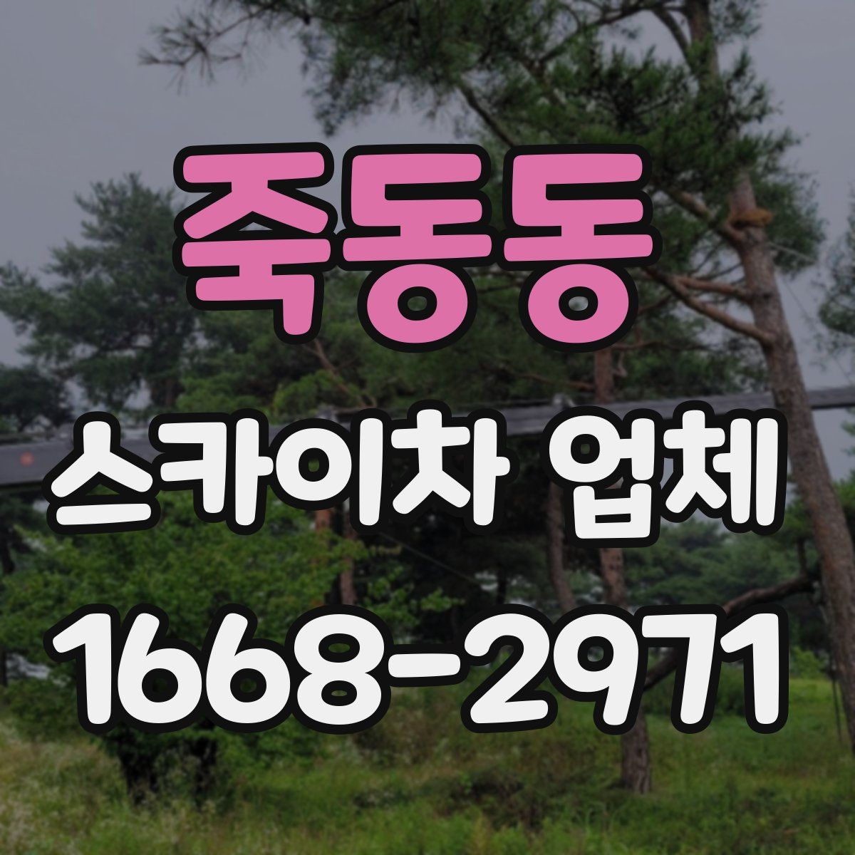 죽동동 스카이차 업체