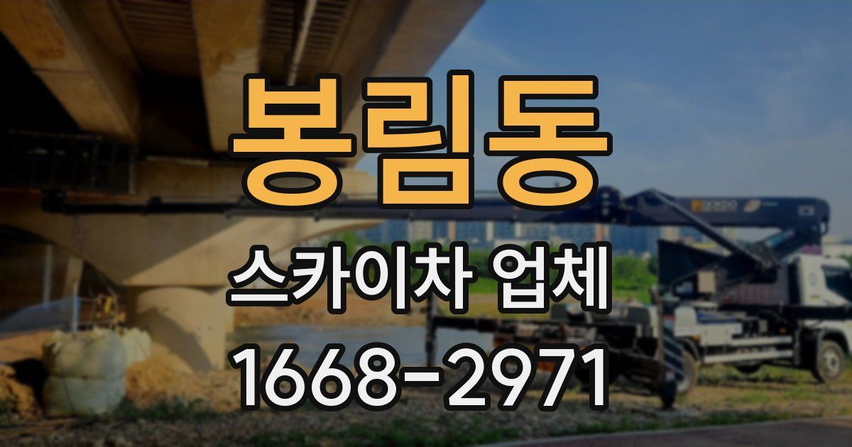 봉림동 스카이차 업체