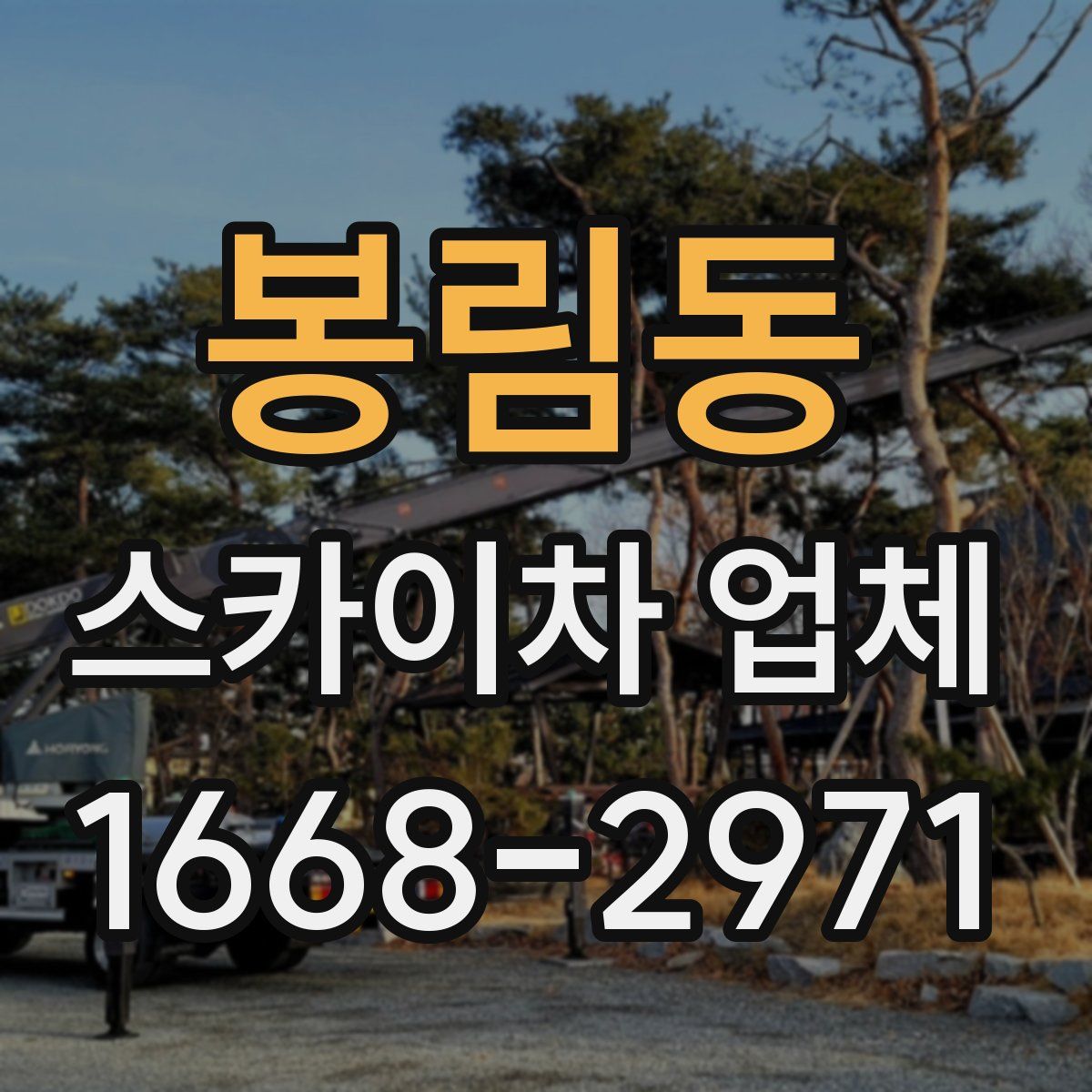 봉림동 스카이차 업체