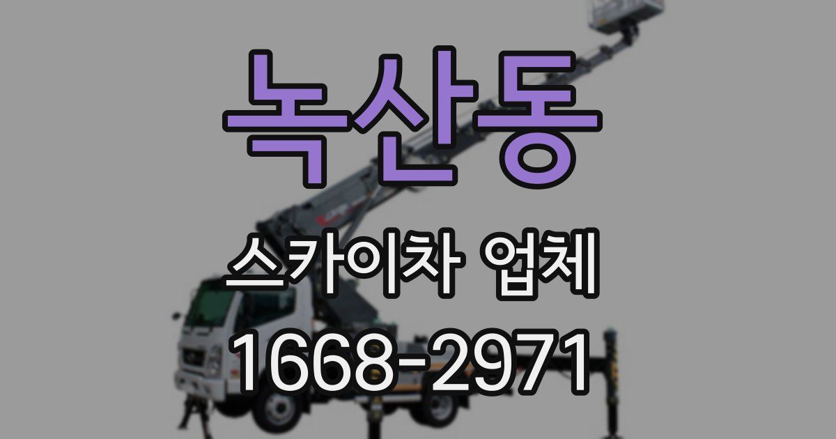 녹산동 스카이차 업체