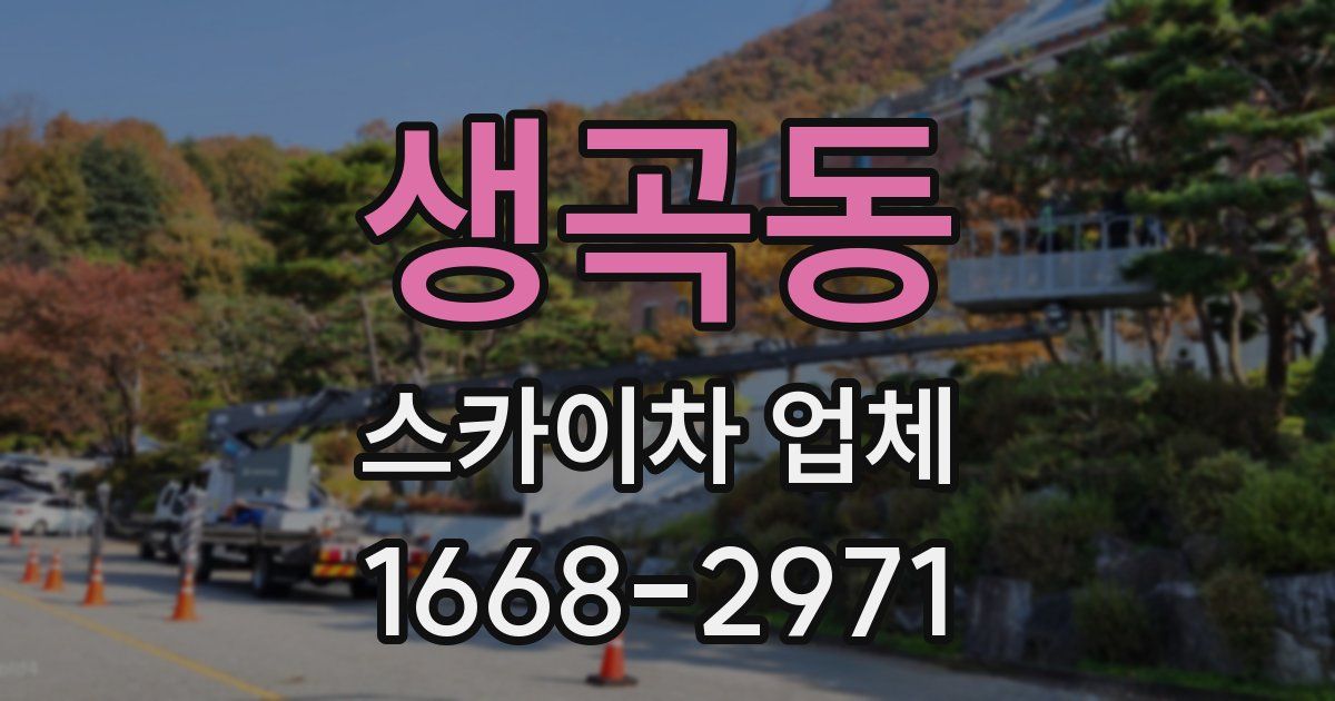 생곡동 스카이차 업체