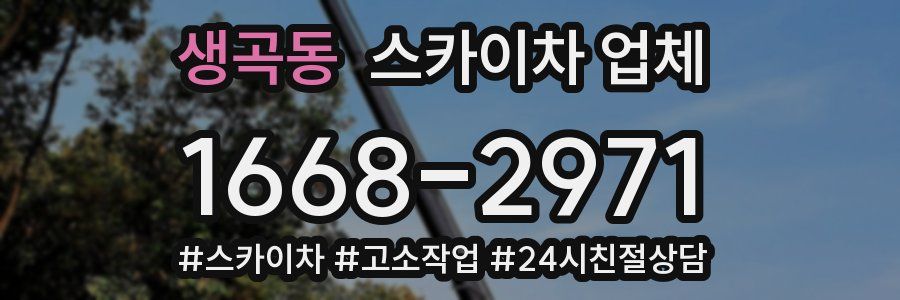 생곡동 스카이차 업체