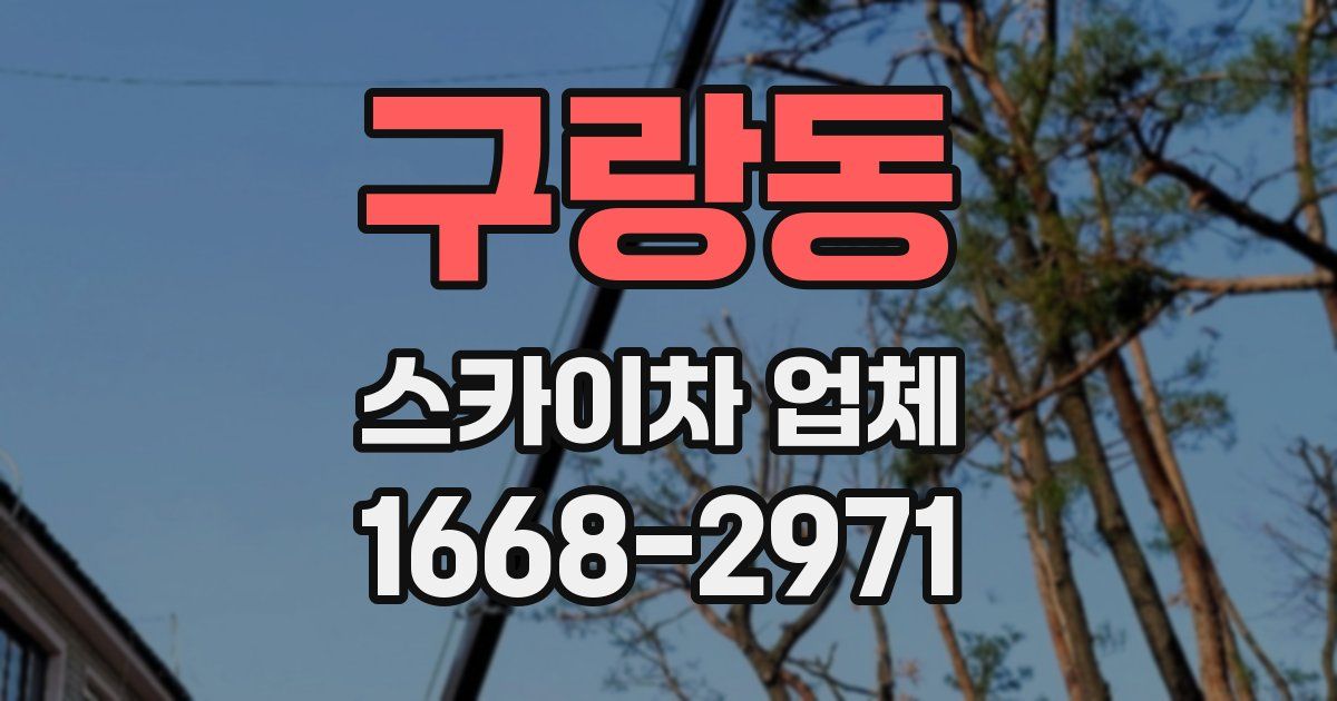 구랑동 스카이차 업체