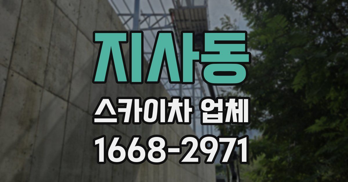 지사동 스카이차 업체