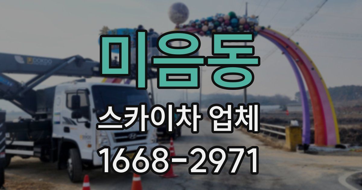 미음동 스카이차 업체