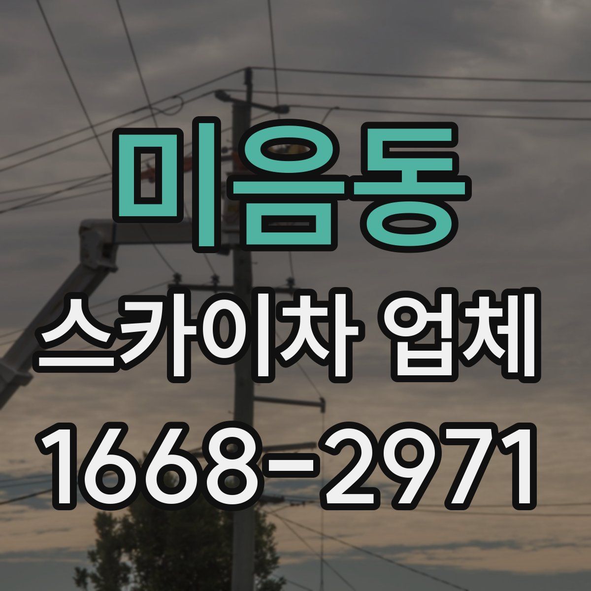 미음동 스카이차 업체