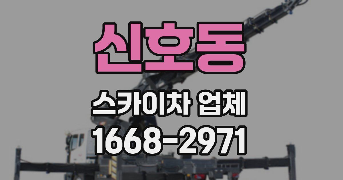 신호동 스카이차 업체