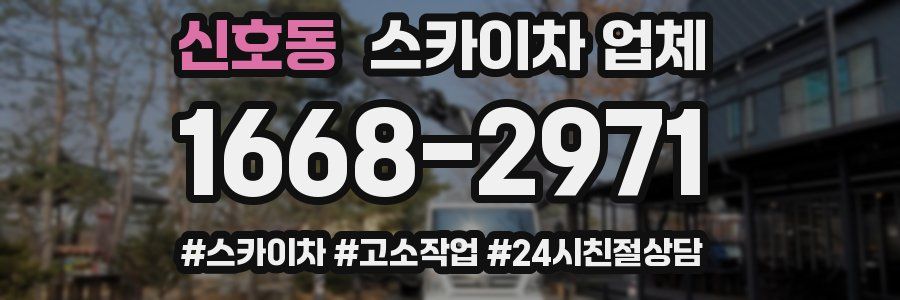 신호동 스카이차 업체