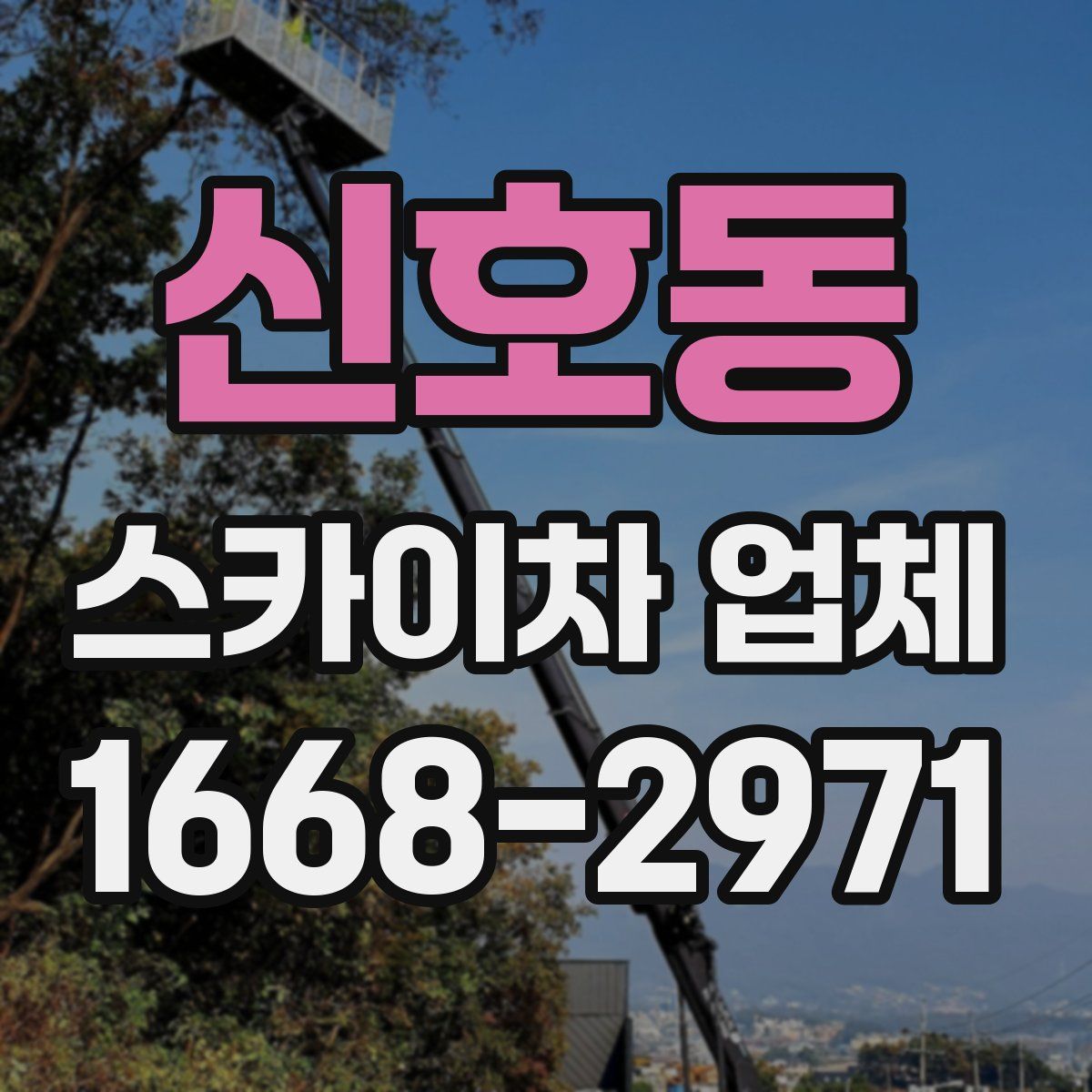신호동 스카이차 업체