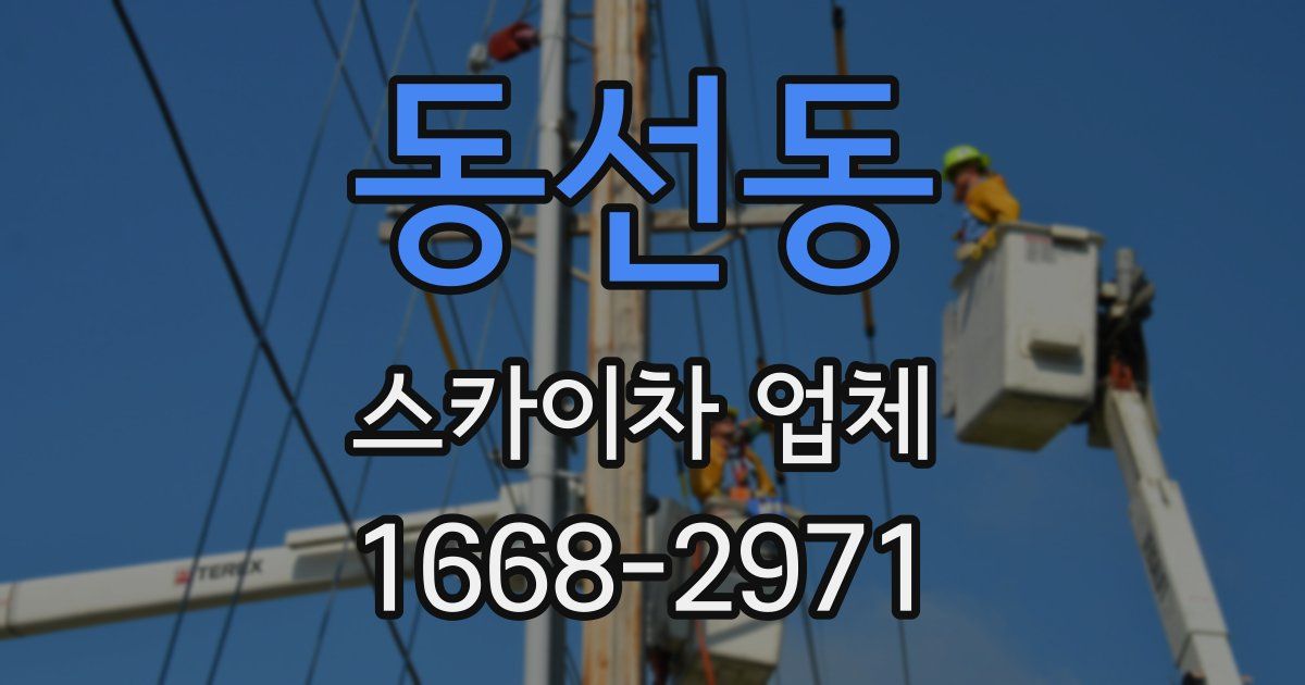 동선동 스카이차 업체
