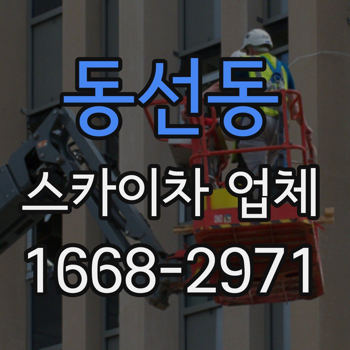 동선동 스카이차 업체