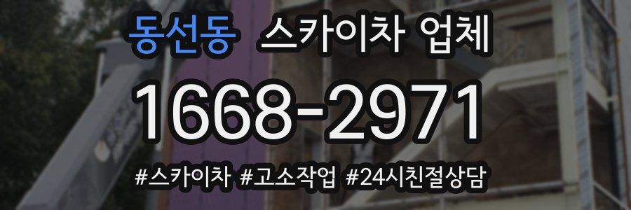 동선동 스카이차 업체