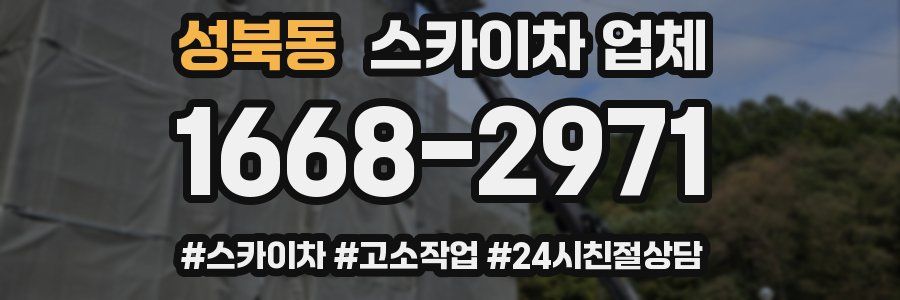 성북동 스카이차 업체