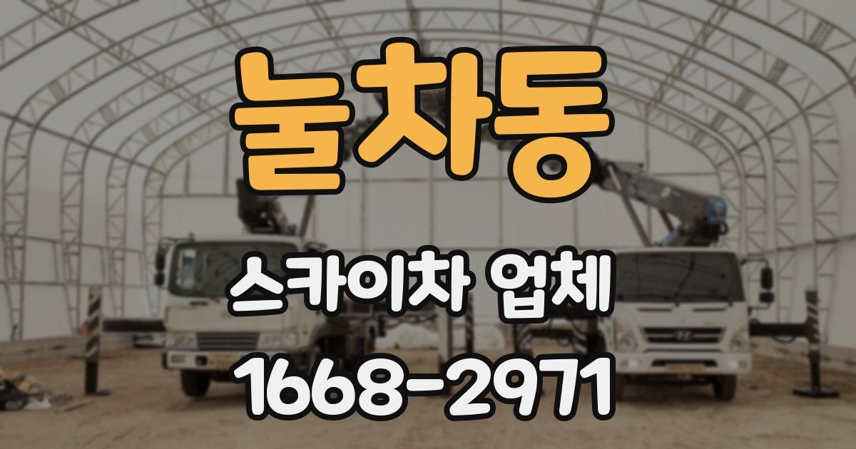 눌차동 스카이차 업체