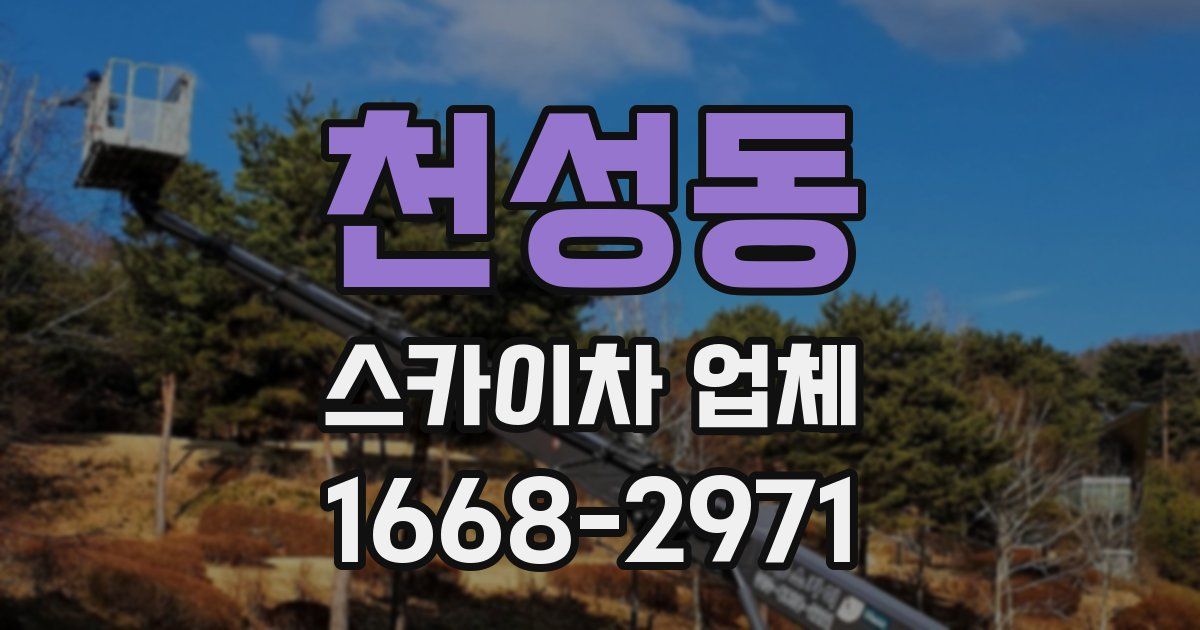 천성동 스카이차 업체