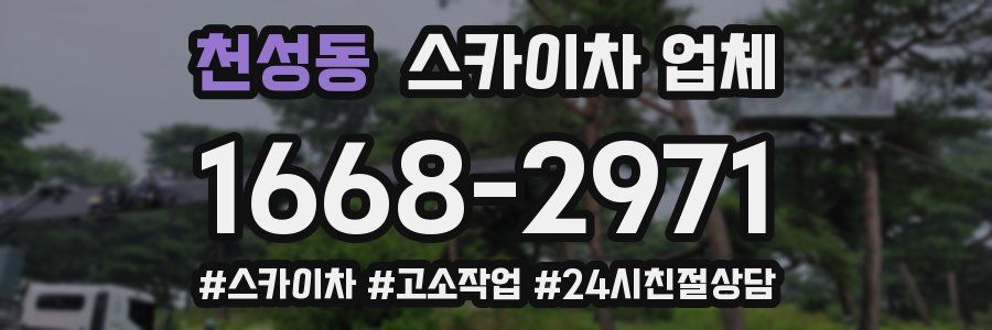 천성동 스카이차 업체