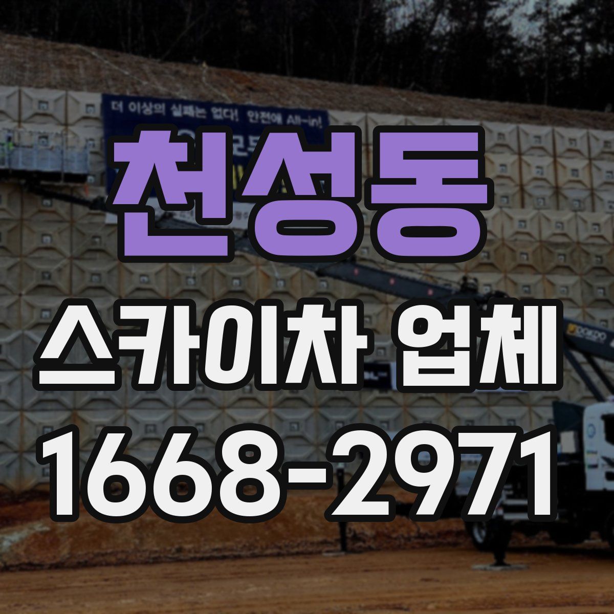 천성동 스카이차 업체
