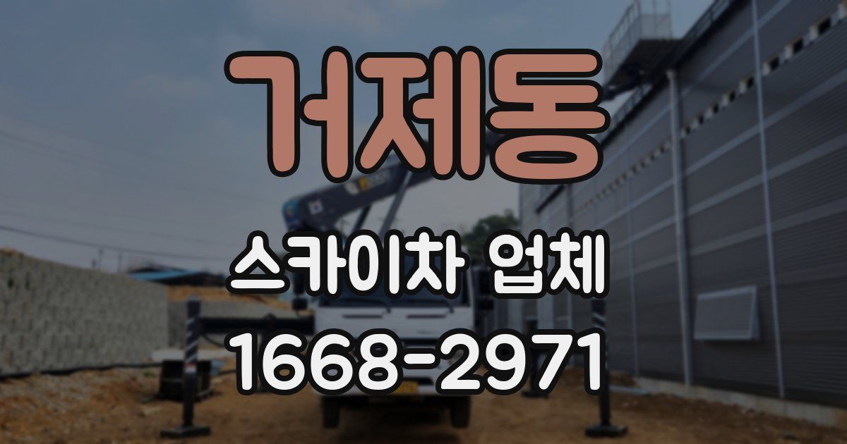 거제동 스카이차 업체