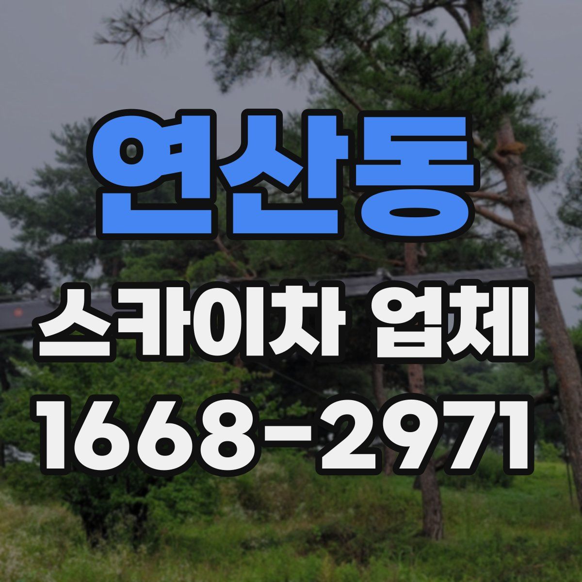 연산동 스카이차 업체