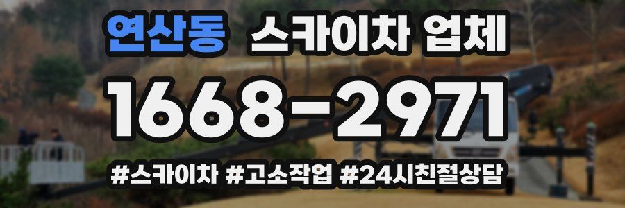 연산동 스카이차 업체