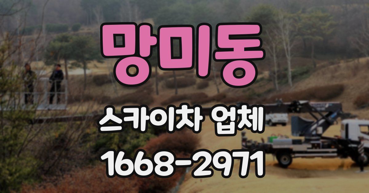 망미동 스카이차 업체