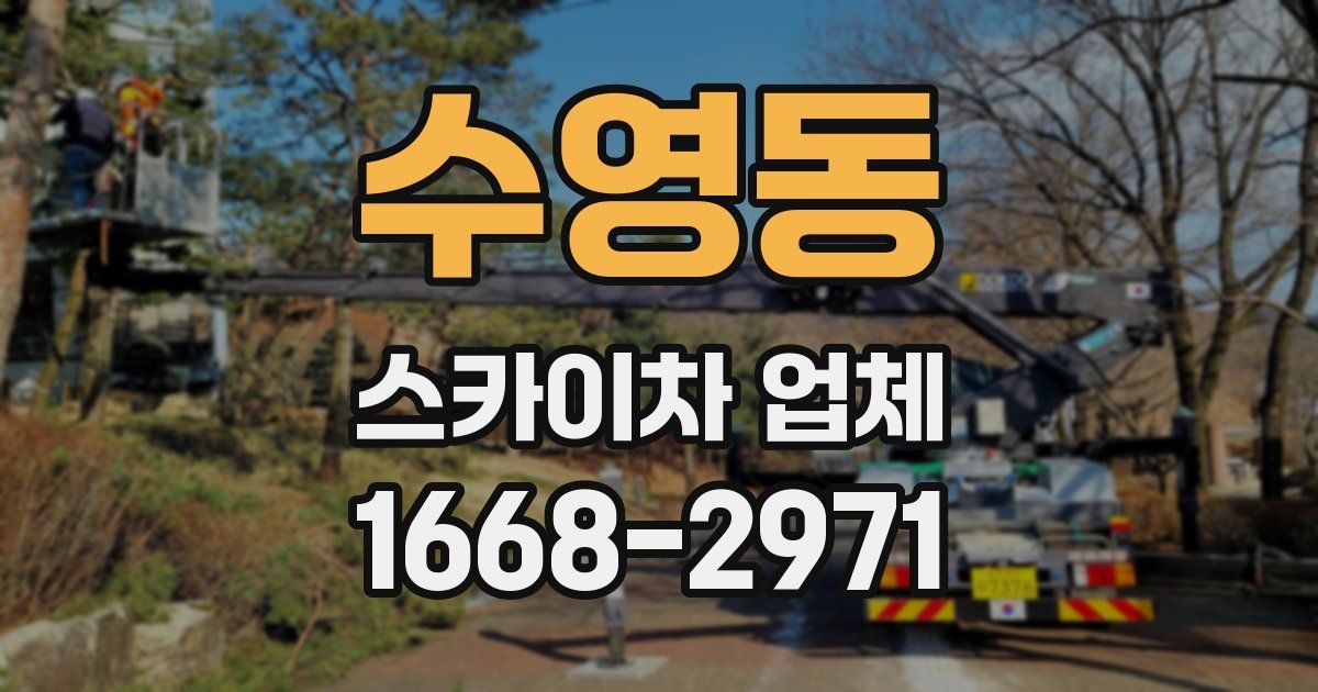 수영동 스카이차 업체