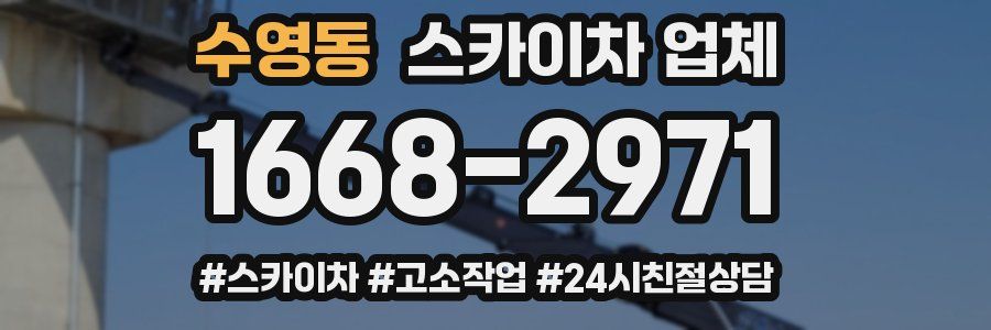 수영동 스카이차 업체