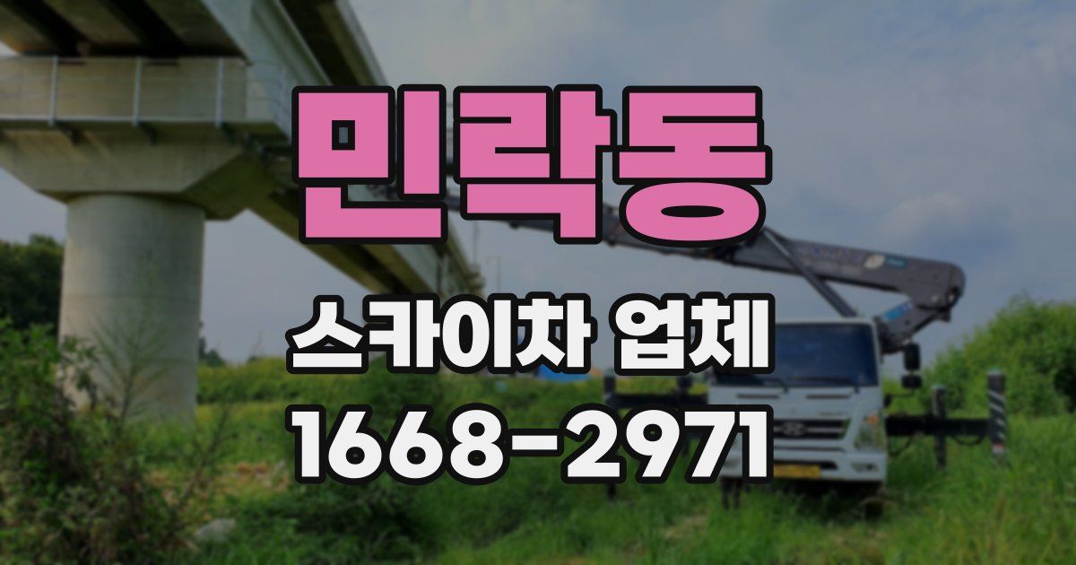 민락동 스카이차 업체