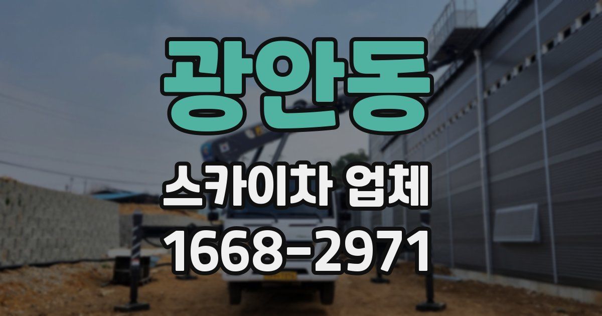 광안동 스카이차 업체