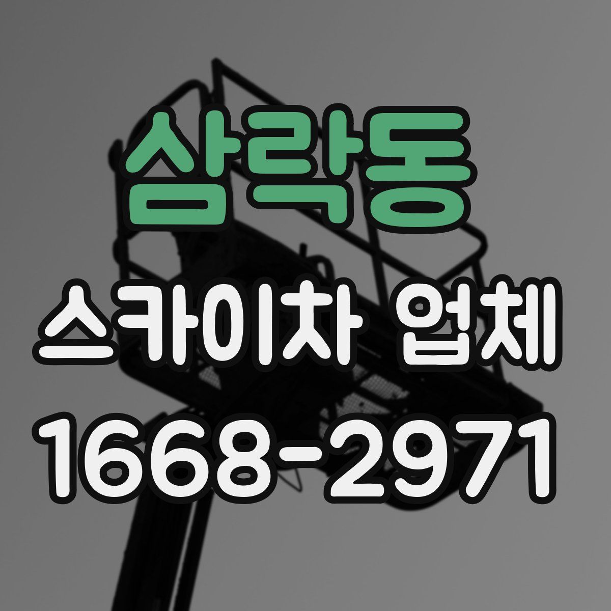 삼락동 스카이차 업체