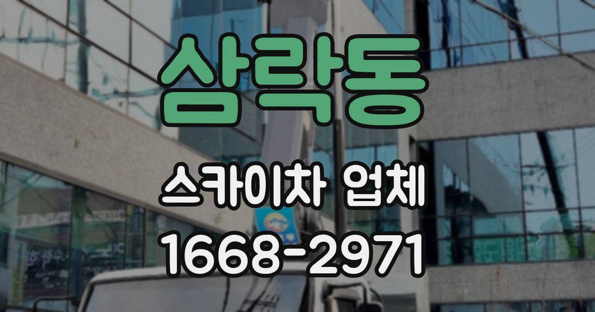 삼락동 스카이차 업체