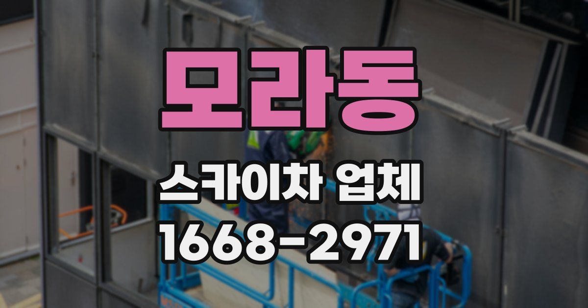 모라동 스카이차 업체