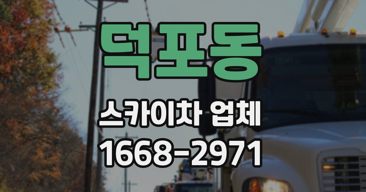덕포동 스카이차 업체