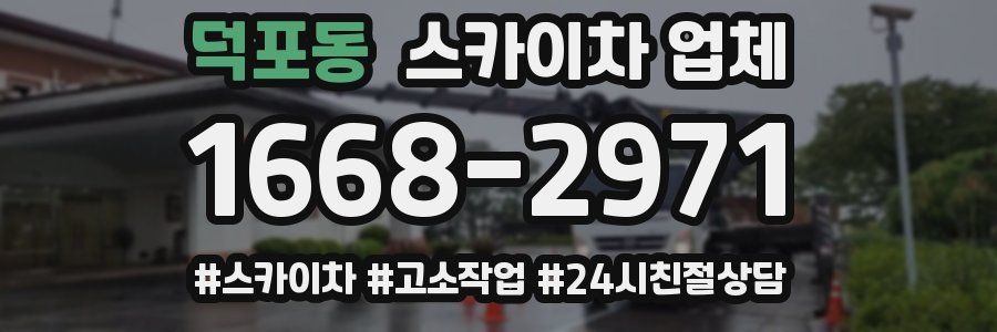 덕포동 스카이차 업체